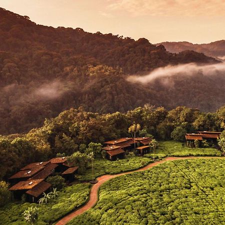 One&Only Nyungwe House Villa Rwumba Ngoại thất bức ảnh
