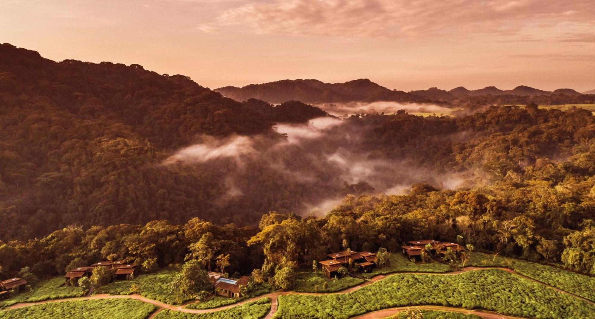 One&Only Nyungwe House Villa Rwumba Ngoại thất bức ảnh