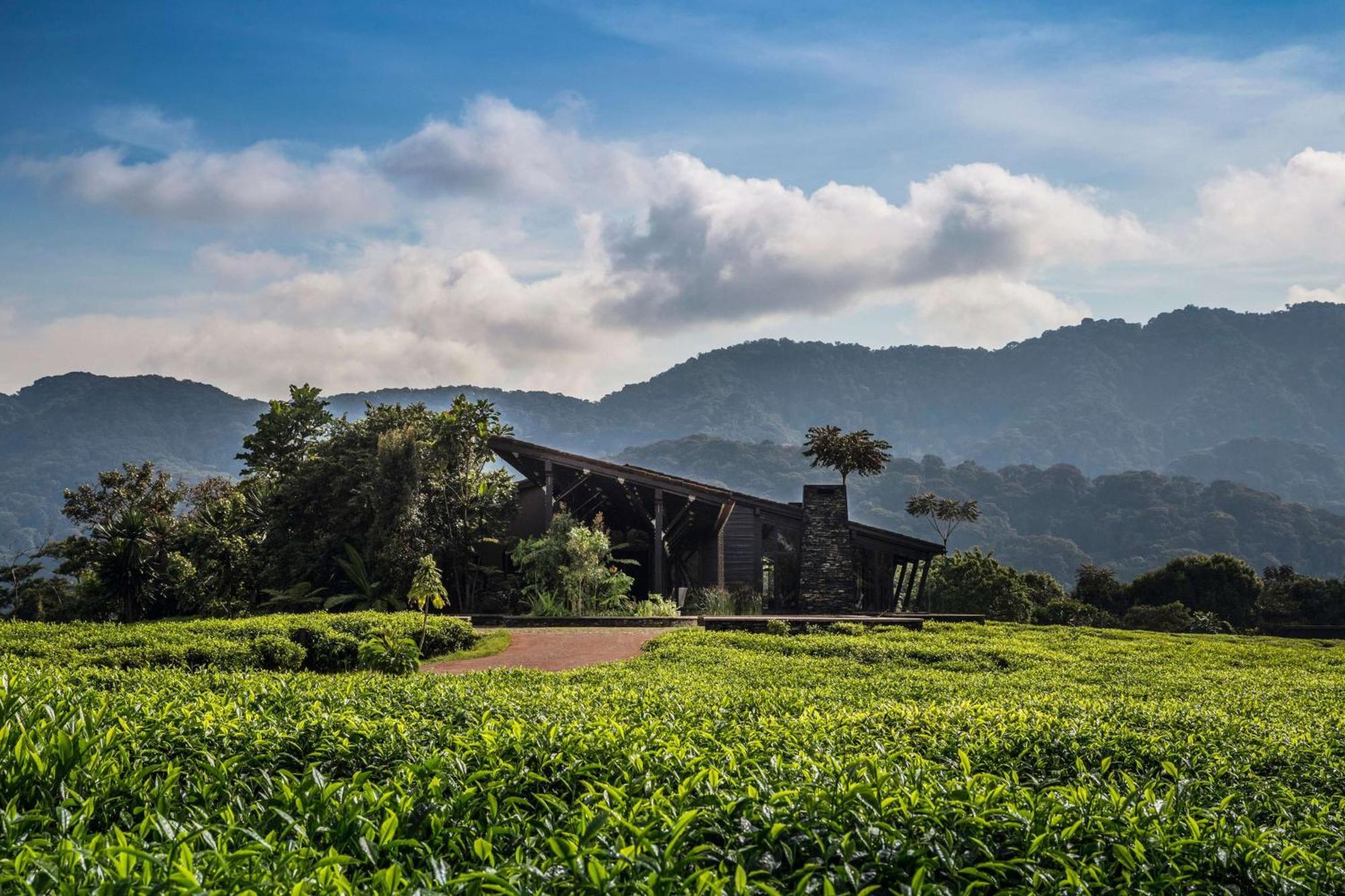 One&Only Nyungwe House Villa Rwumba Ngoại thất bức ảnh