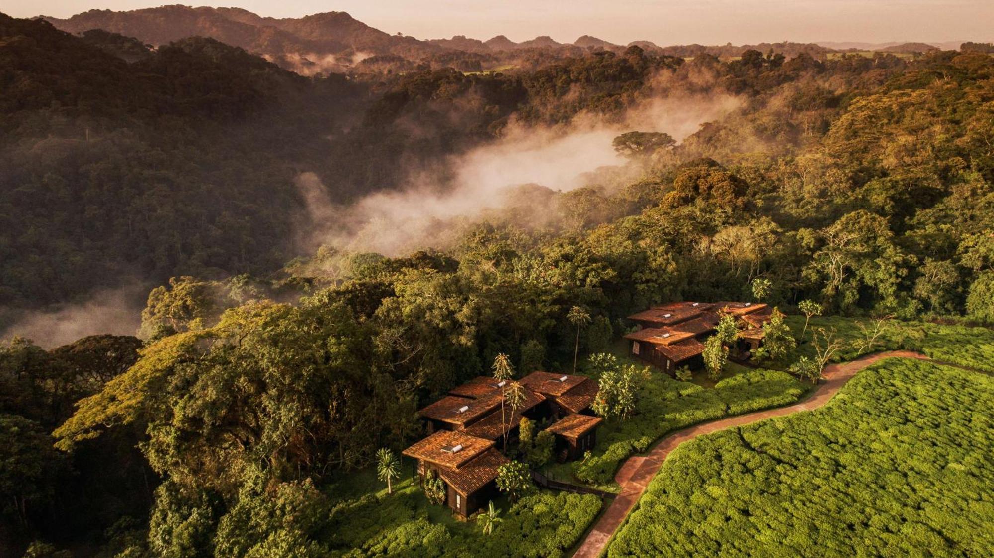 One&Only Nyungwe House Villa Rwumba Ngoại thất bức ảnh