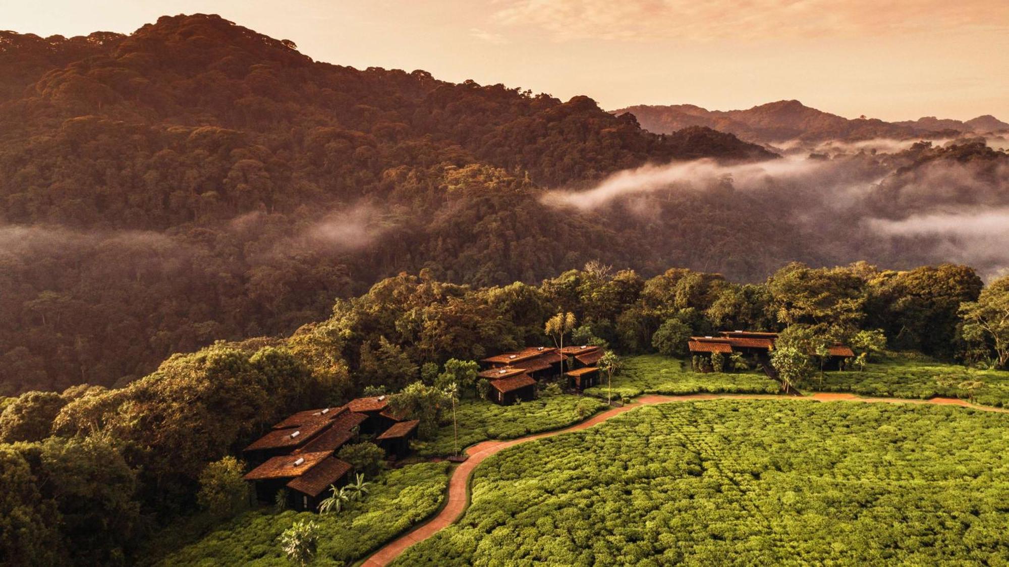 One&Only Nyungwe House Villa Rwumba Ngoại thất bức ảnh